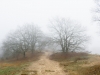 YDC-KonijnB-Mist-32