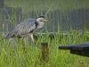 Ydc-Camping-reiger-Nik-NR-48